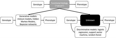 Machine Learning and Radiogenomics: Lessons Learned and Future Directions